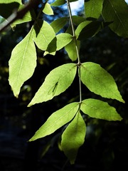 R0121706