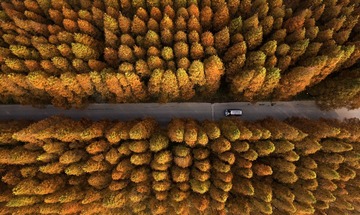 DJI_0022-1
