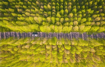 DJI_0049-2_1
