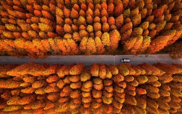 321