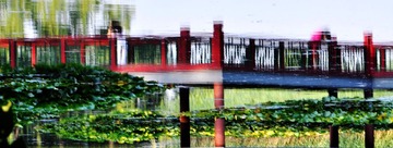 北京的春天-4