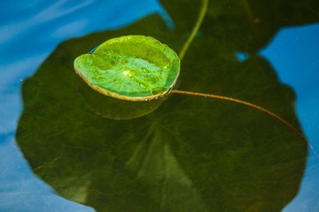 20140712-DSC_0139