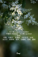4E073CA0-9CCB-448C-BA65-49EE271F2D42/L0/001