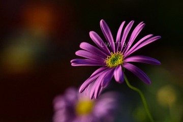 41B4A6E0-565F-4780-91A4-8FC785351CB7