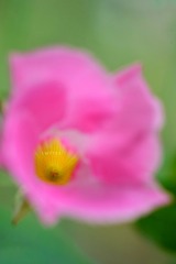 5D876502-1E54-400F-9E68-56A270401433