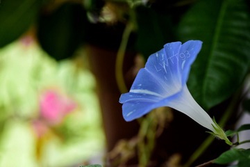 24B151D5-0544-4B5C-9DB7-15DDA60E4B8A