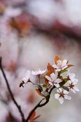 485C06B1-EB7A-4515-ABE0-83C7CBFC8939/L0/001