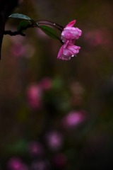 3FF81407-136B-420D-B029-822BB65C9242/L0/001