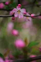 AB418C68-D1A6-4E1A-9274-F4428AE03CD8/L0/001