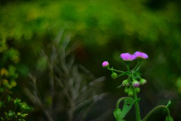 3D64A687-955C-48C9-B892-6C81BAA26565