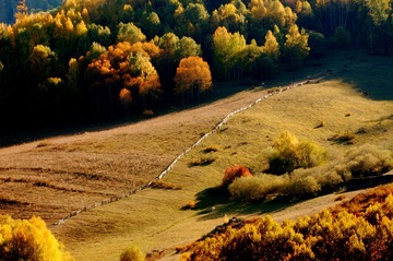 The Fence