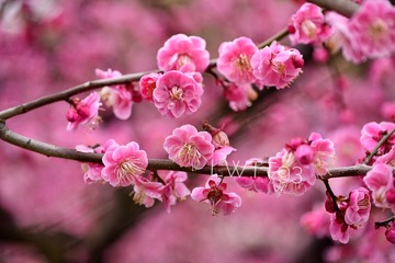 FE35FA7F-C4AE-47AA-9CC7-D5BEBD256929