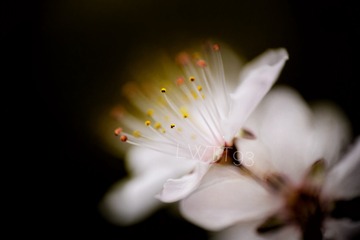 B088892E-E9C7-4BA6-B286-AE6505C5E75F