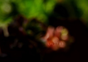 31D82046-6CF4-4D26-8A5C-4AD31DF76DE9