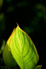1C3E854D-270E-422C-A7E6-5E6EBF953256