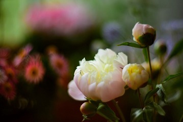 E316DBB3-A0C0-43FD-B857-01BB8C880185
