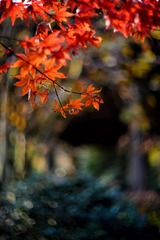 DF4B3F85-8912-40D8-B299-ED764B1FE636