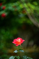 6290DB9A-0EFF-4F66-833D-4154DDB4305E