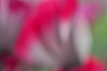 B0620EF5-0425-46DE-9998-F1CCD144FB7F