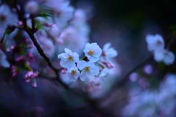 6DBB7EF9-36E0-4A3C-A280-5B605493C99C