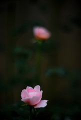 F6D97BD1-3C3E-4290-95A9-5A0FA7409315