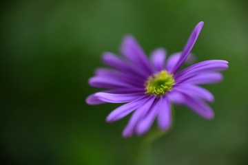 30E44C5C-F049-4E65-A701-5AD0FA889B1D