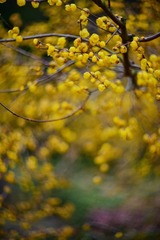 27F87BBB-F0CE-45C1-9943-D3DE1AD85A65