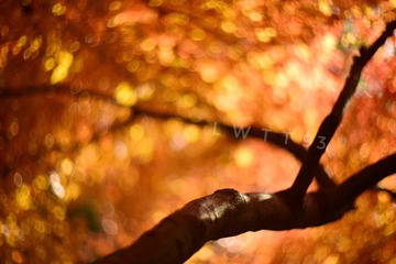 D6856990-D513-4C73-BE55-42FB0F89B2ED
