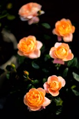 344574D8-2130-44EB-A38F-AA23DAA73665