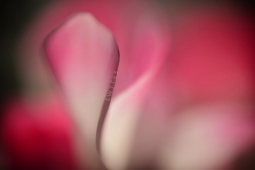 6425B4B8-F497-41CD-83FD-6CC36B1E97B0
