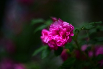 7ABC6AB8-5191-4B09-A5FC-22708AC16159