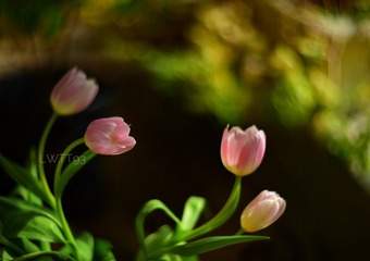 60D8E472-7D46-48F9-8713-5438A910CB55
