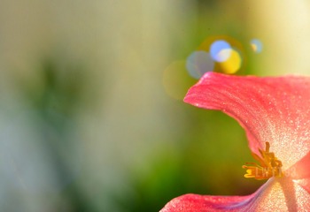 1C559457-D4A9-44BF-943C-3D8BC6E461C9