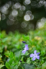 B5935F0B-D326-48F9-996D-75DE6A7F6BA2