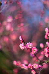 DCE25A29-F191-40AB-A623-D3F03C729C0B
