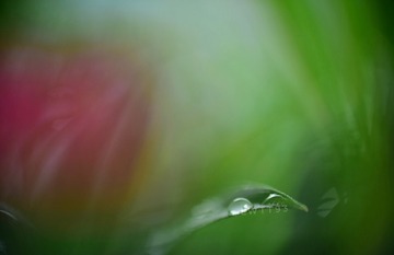 B4F49796-9A56-4E3C-B00F-AE5AE6EBCA6C