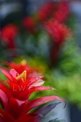 B3724F29-3853-4611-BAB2-0F504A4A9578