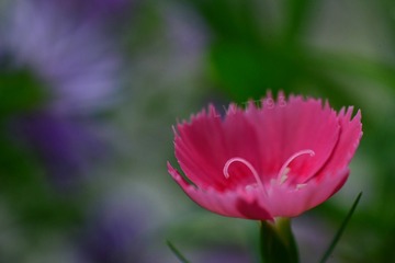 D544301C-9FA9-4977-BB7F-555D5B918E65