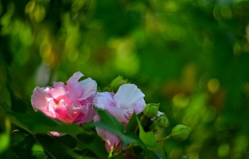 59BABB3D-CB73-4CBC-AD1F-AB9885854207
