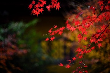 寒風自有溫暖處