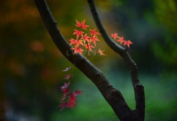 F0AE9B8D-C597-4A66-8551-E38E72D7606A