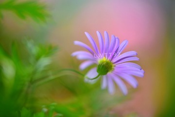 8087D696-C493-4A3E-9DDD-54DF07FDB64C