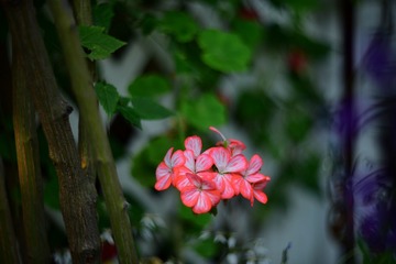 87D2E34B-C5B0-422C-8509-EC21DCE710F9