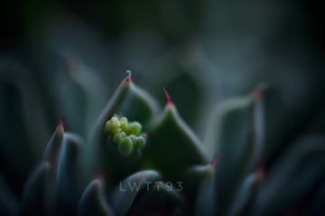 9E49B430-BF7C-41C4-9853-D798D58B288D