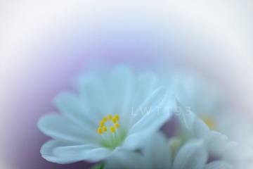 E7B5437B-BC61-4017-B828-5450657AAFE2