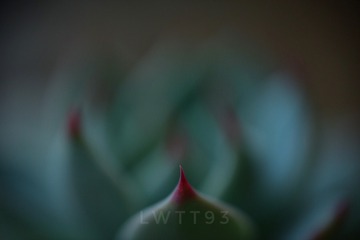 1B683398-9CAA-49B8-BEB9-46343AAC2FD6