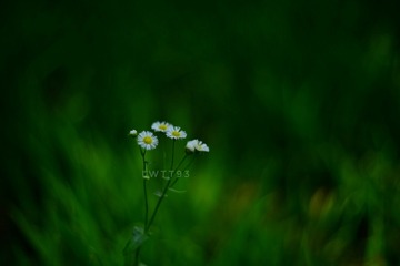 1B5AFE03-4420-447A-96FD-5A56B8ED16B9