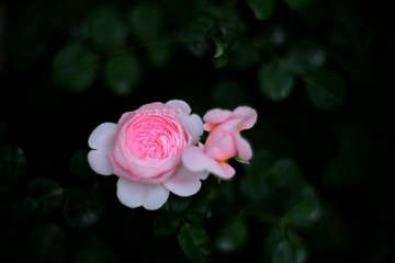 76433763-D1AA-4458-BCE9-AB51B44C236A