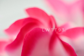 17A1F151-44AD-4D08-B012-58F0B1F95805