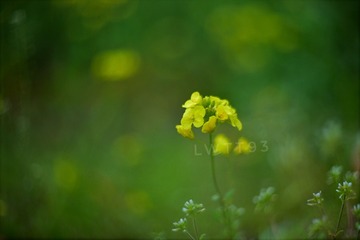 622B0839-FC3F-45F5-9012-F122DF0CA183